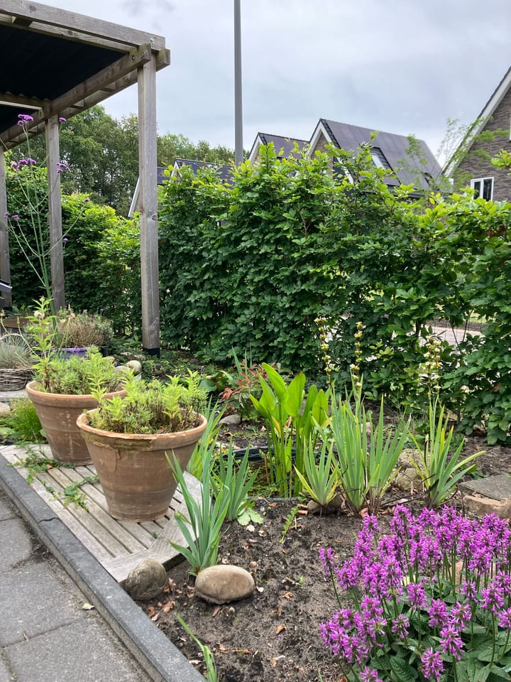 Foto 38 van Broeder Silvesterlaan 26