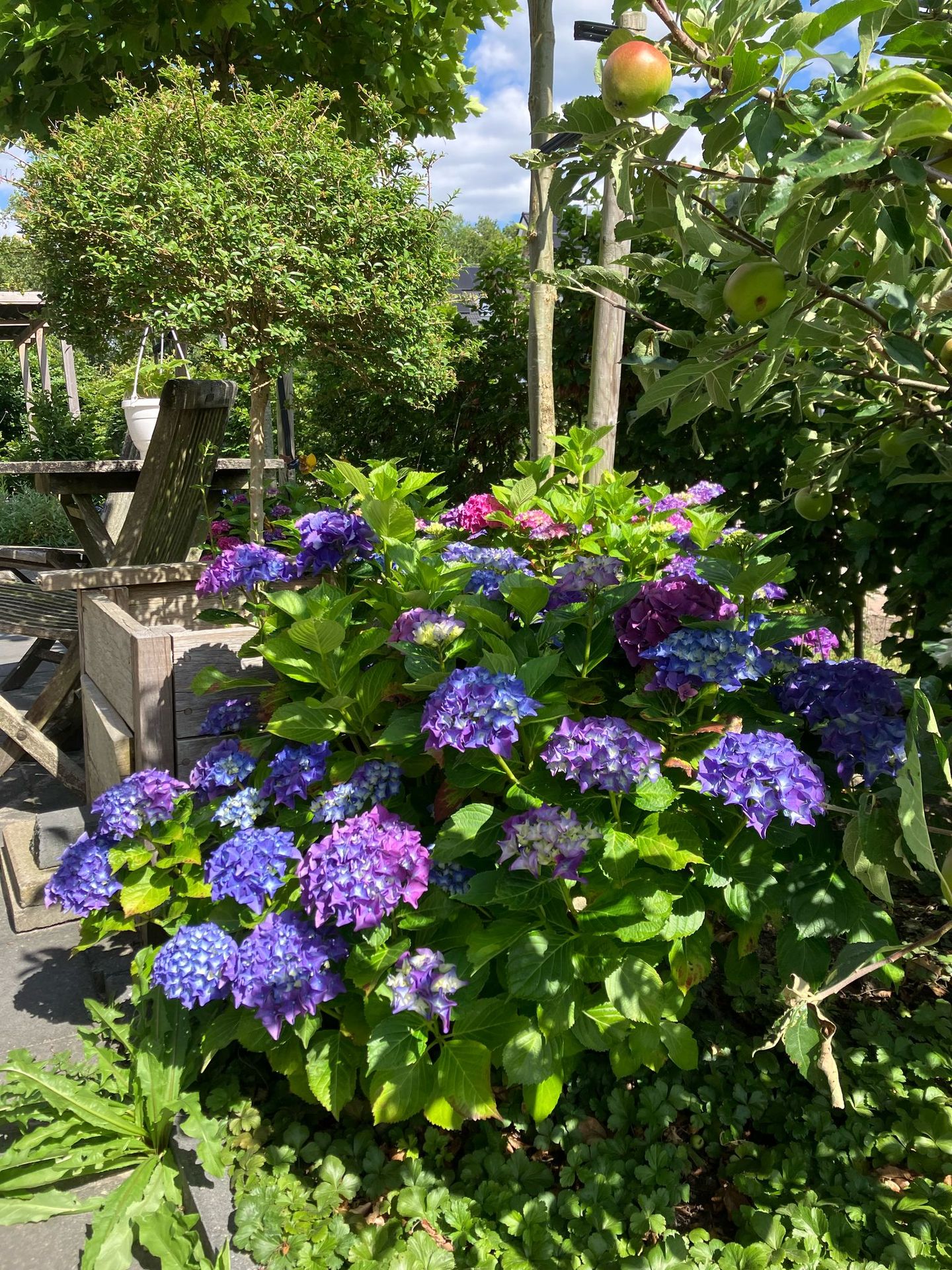 Photo 40 of Broeder Silvesterlaan 26