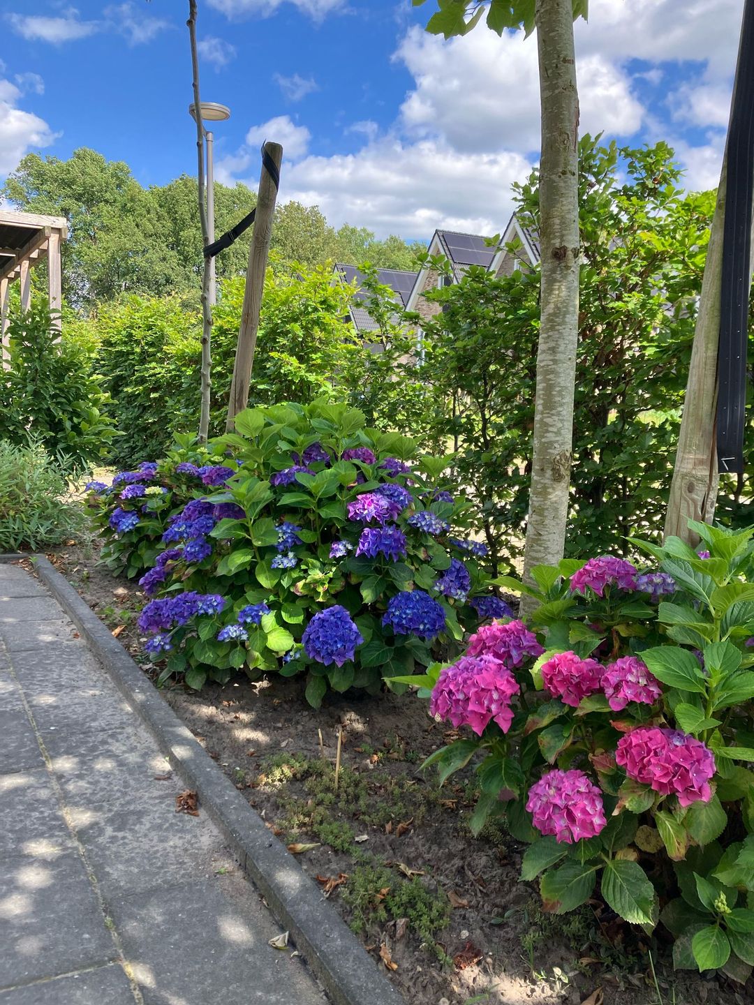 Photo 41 of Broeder Silvesterlaan 26