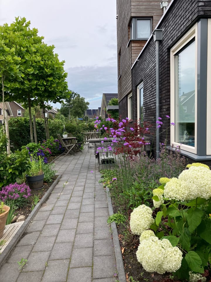 Foto 44 van Broeder Silvesterlaan 26