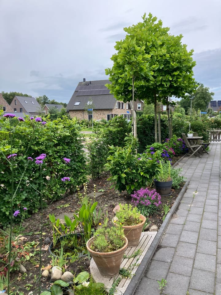 Foto 46 van Broeder Silvesterlaan 26