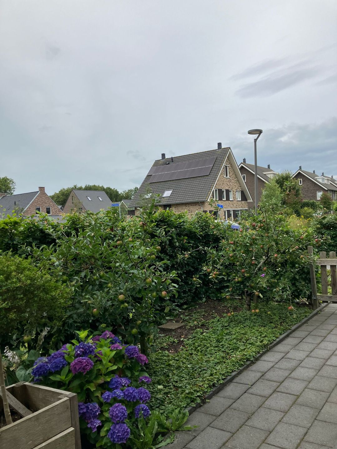 Photo 43 of Broeder Silvesterlaan 26