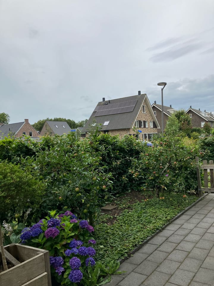 Foto 43 van Broeder Silvesterlaan 26