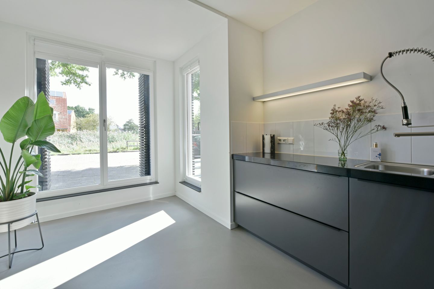 Foto 10 van Rugstreeppad 73