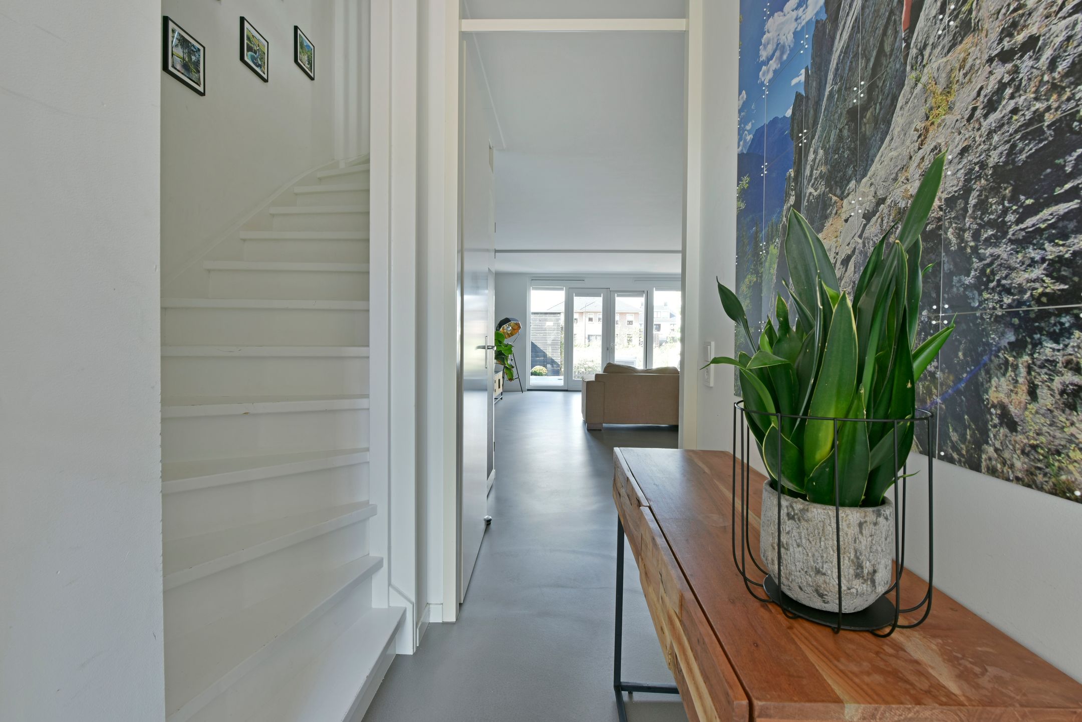 Foto 12 van Rugstreeppad 73