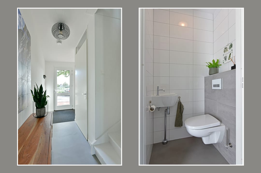 Foto 13 van Rugstreeppad 73