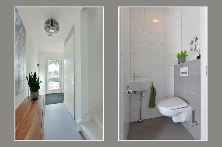 Photo 13 of Rugstreeppad 73