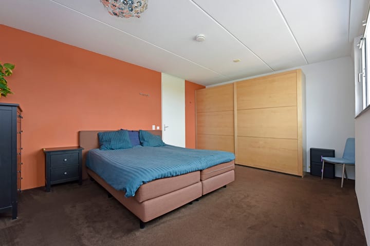 Photo 14 of Rugstreeppad 73