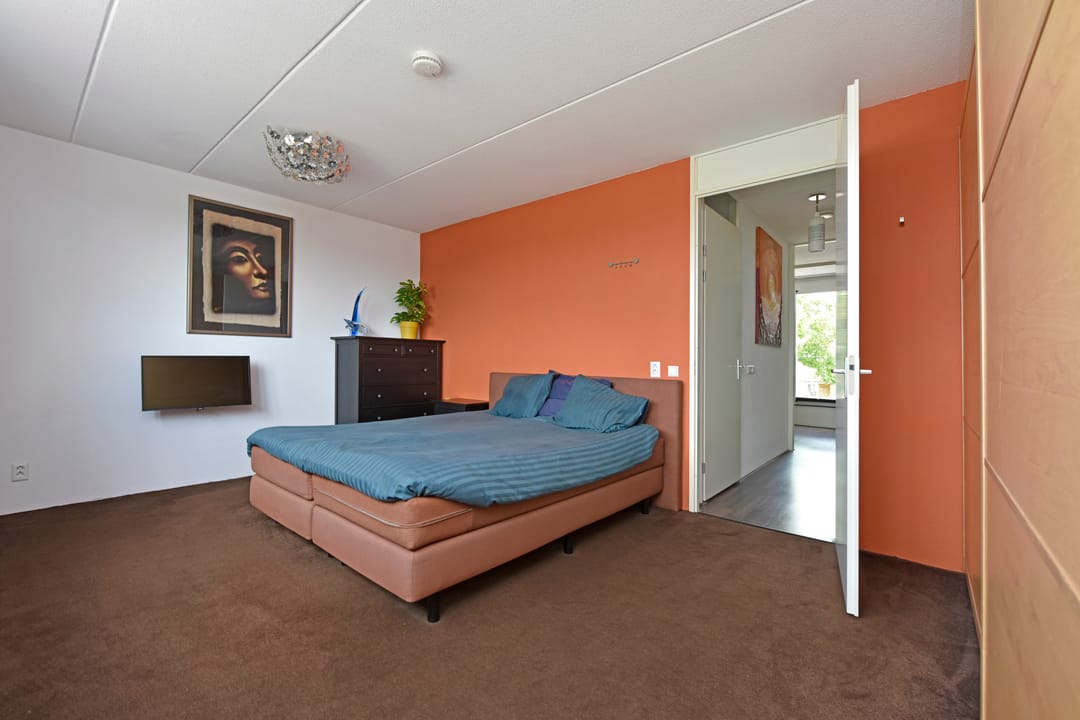 Foto 16 van Rugstreeppad 73