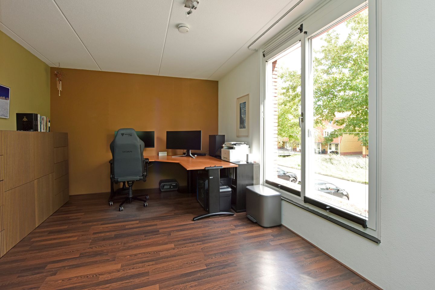 Foto 20 van Rugstreeppad 73