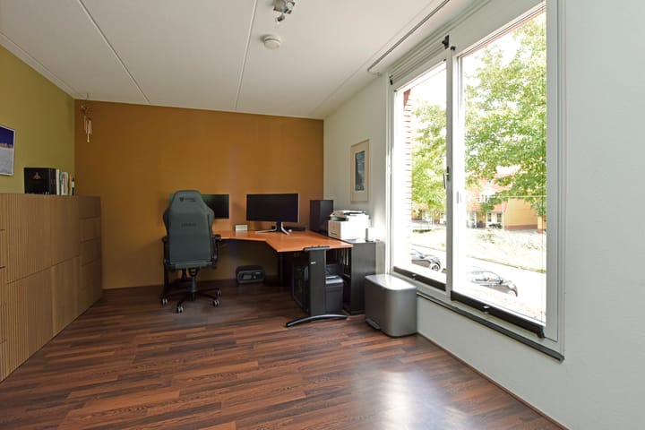 Photo 20 of Rugstreeppad 73