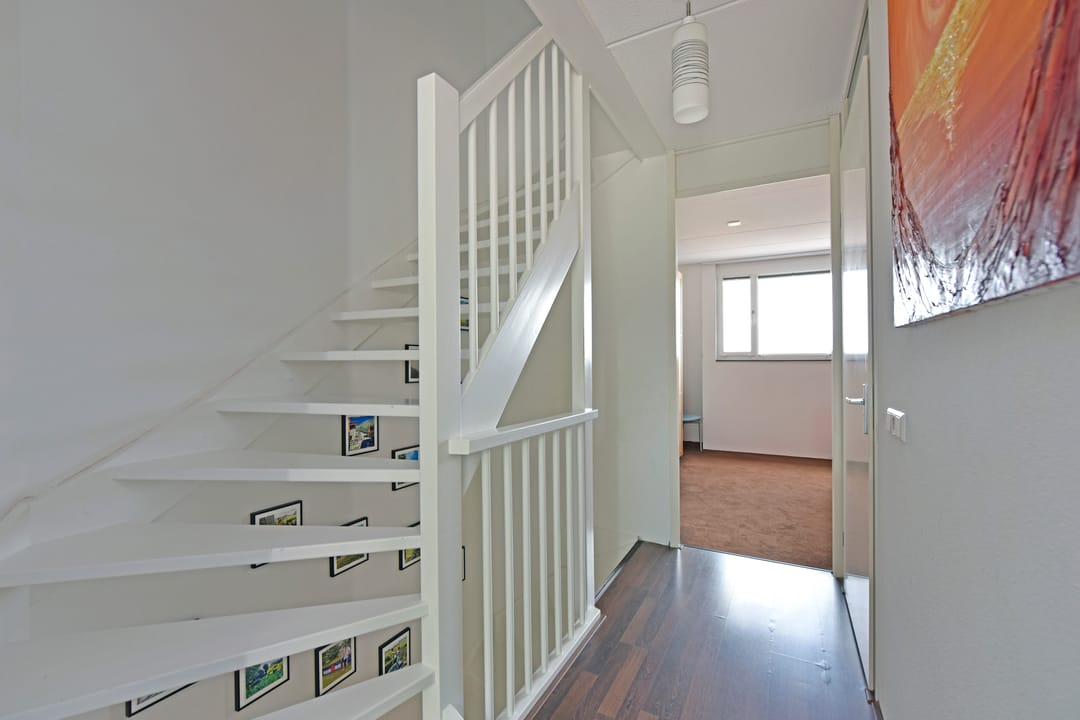 Foto 23 van Rugstreeppad 73