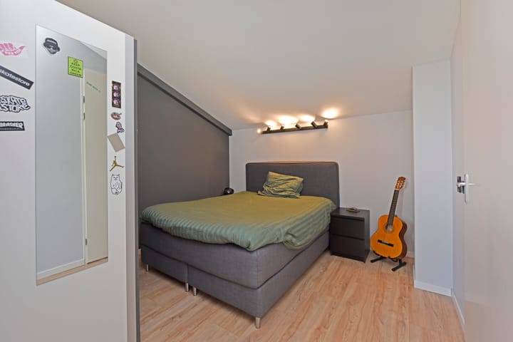 Photo 24 of Rugstreeppad 73