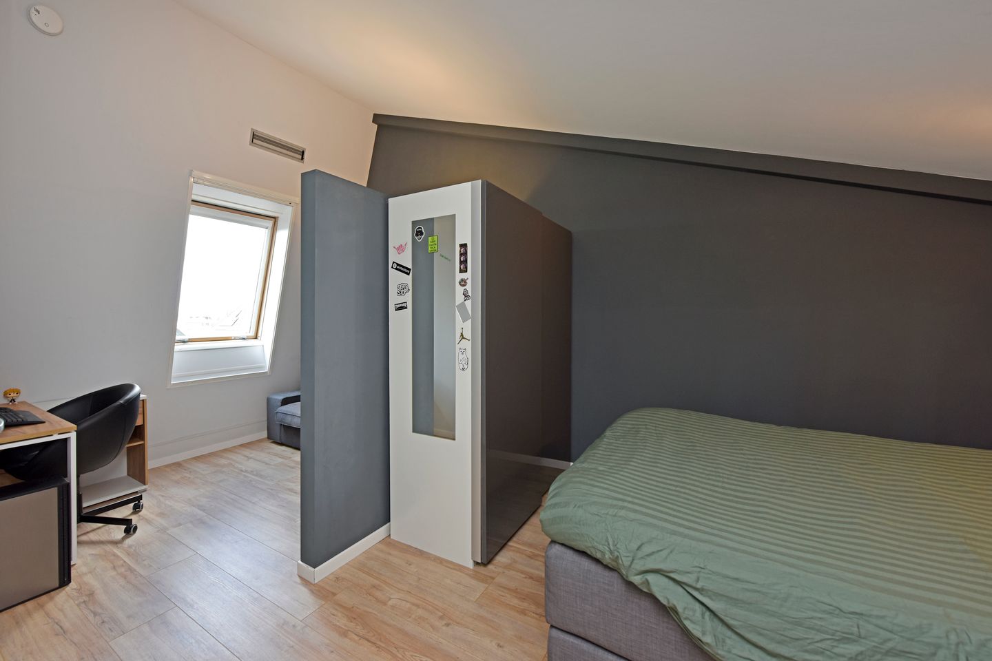 Foto 25 van Rugstreeppad 73