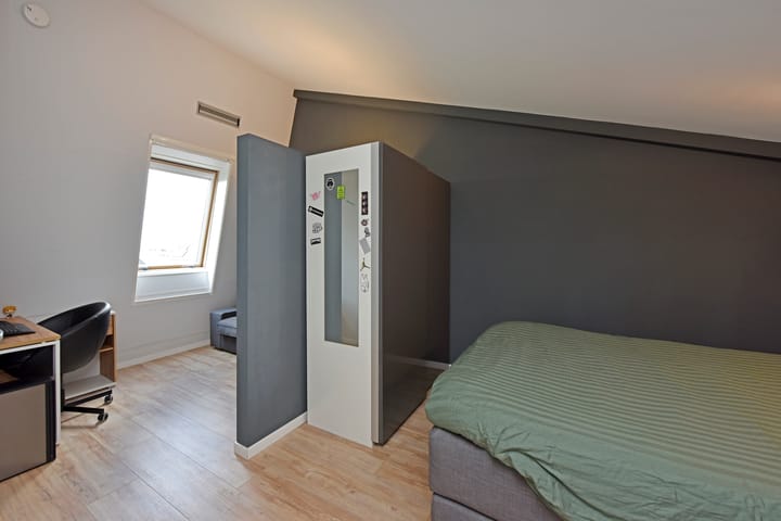 Photo 25 of Rugstreeppad 73