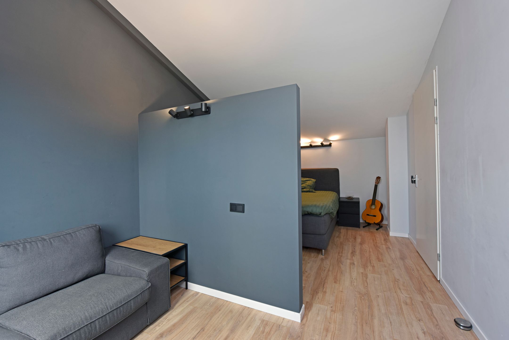 Foto 27 van Rugstreeppad 73