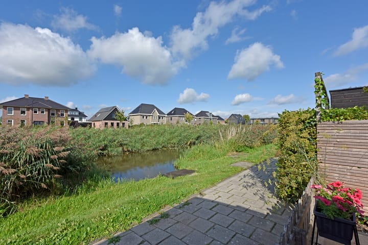 Photo 33 of Rugstreeppad 73