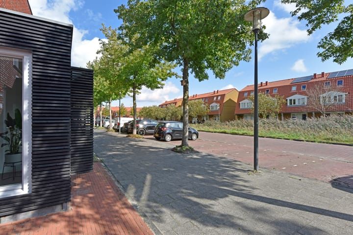 Photo 35 of Rugstreeppad 73