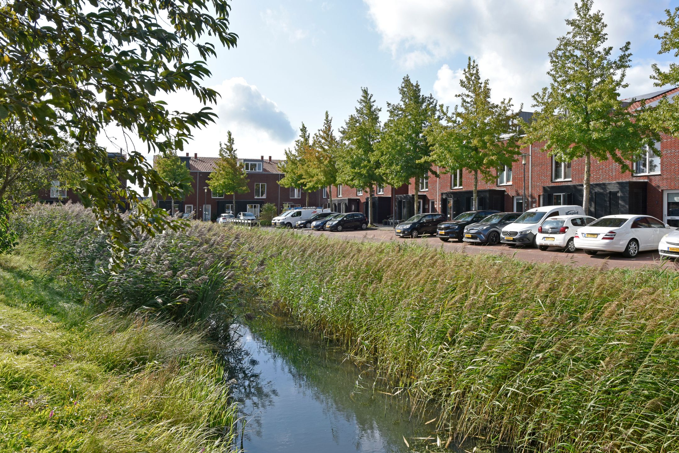 Foto 36 van Rugstreeppad 73