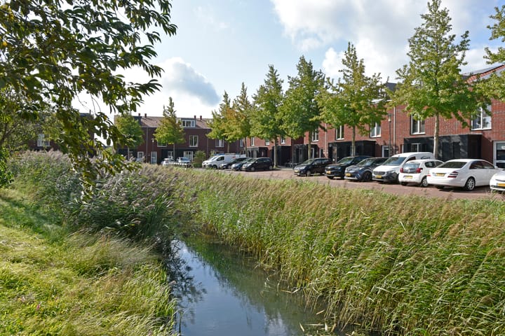 Photo 36 of Rugstreeppad 73