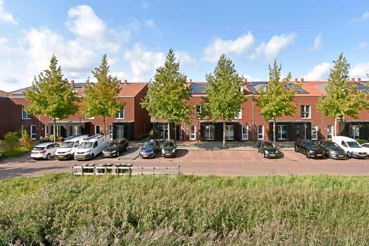 Photo 37 of Rugstreeppad 73