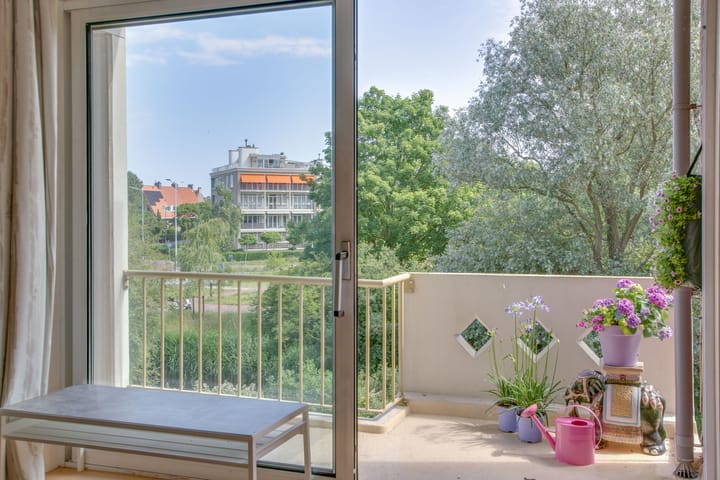 Foto 4 van Ranonkelstraat 3