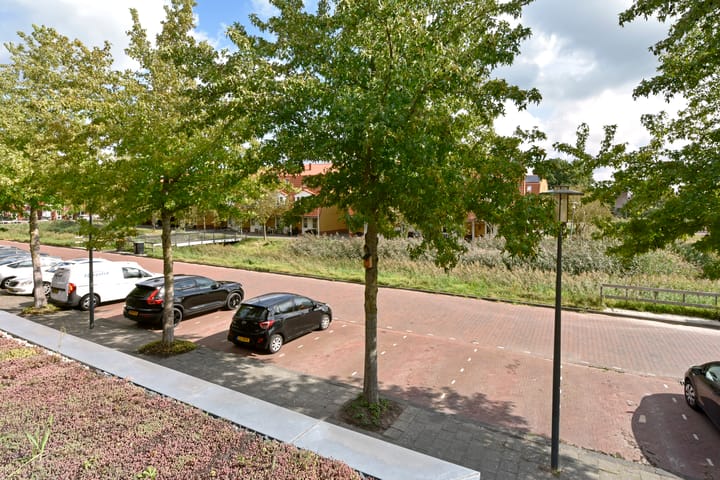 Photo 38 of Rugstreeppad 73