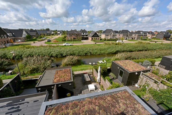 Photo 39 of Rugstreeppad 73