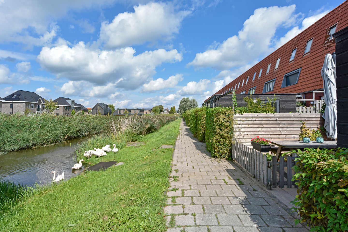 Foto 40 van Rugstreeppad 73