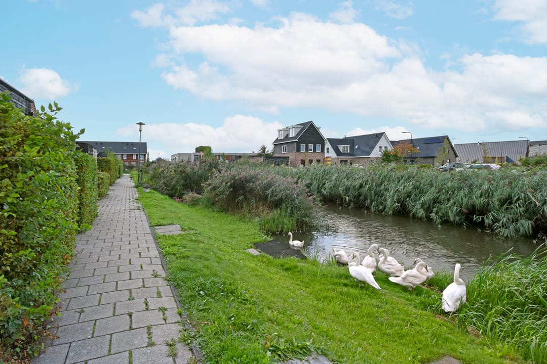 Foto 41 van Rugstreeppad 73