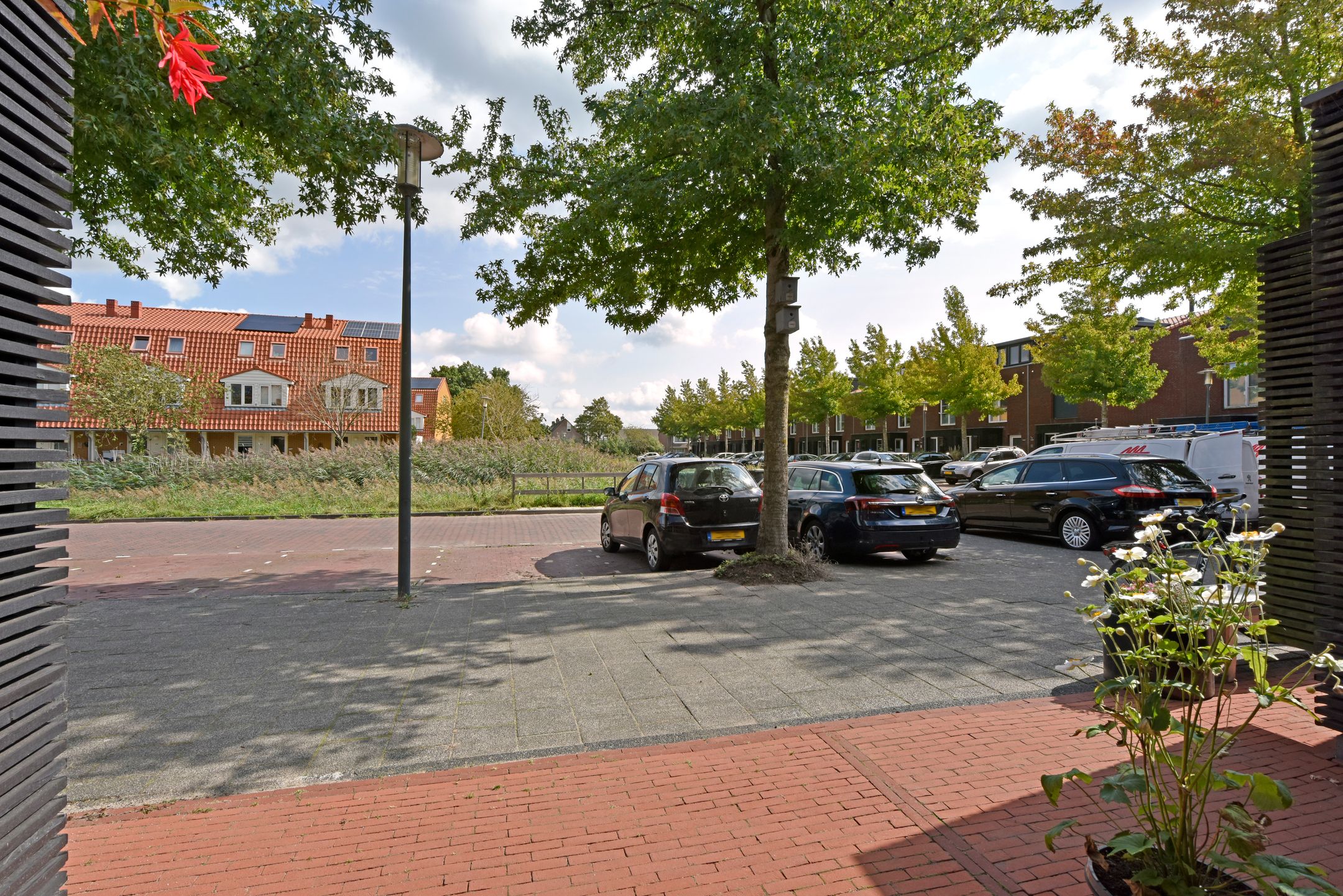 Foto 42 van Rugstreeppad 73