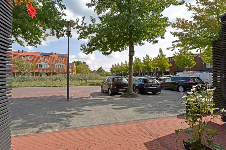 Photo 42 of Rugstreeppad 73