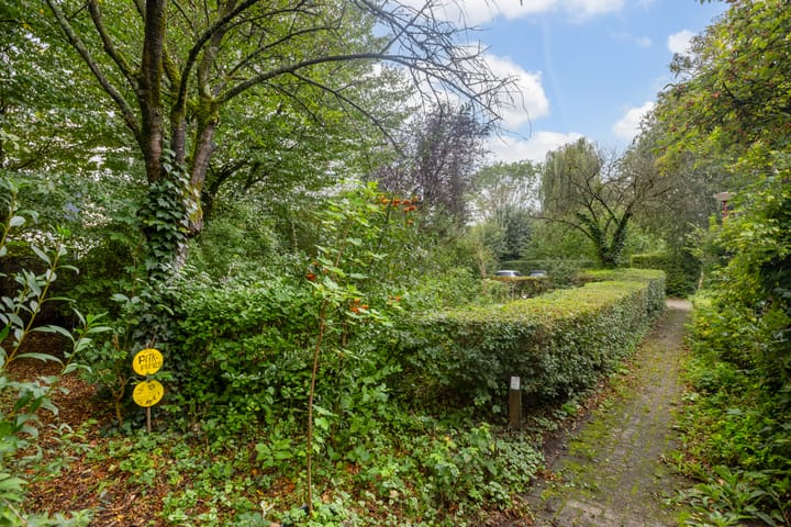 Foto 40 van Zwaluw 40