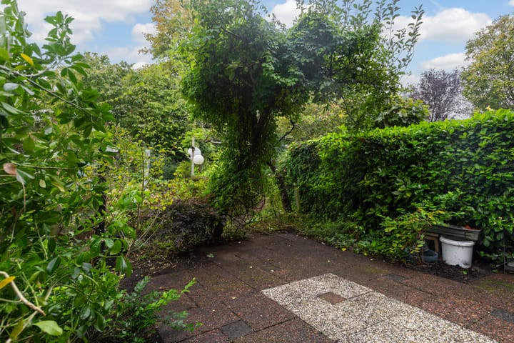 Foto 41 van Zwaluw 40