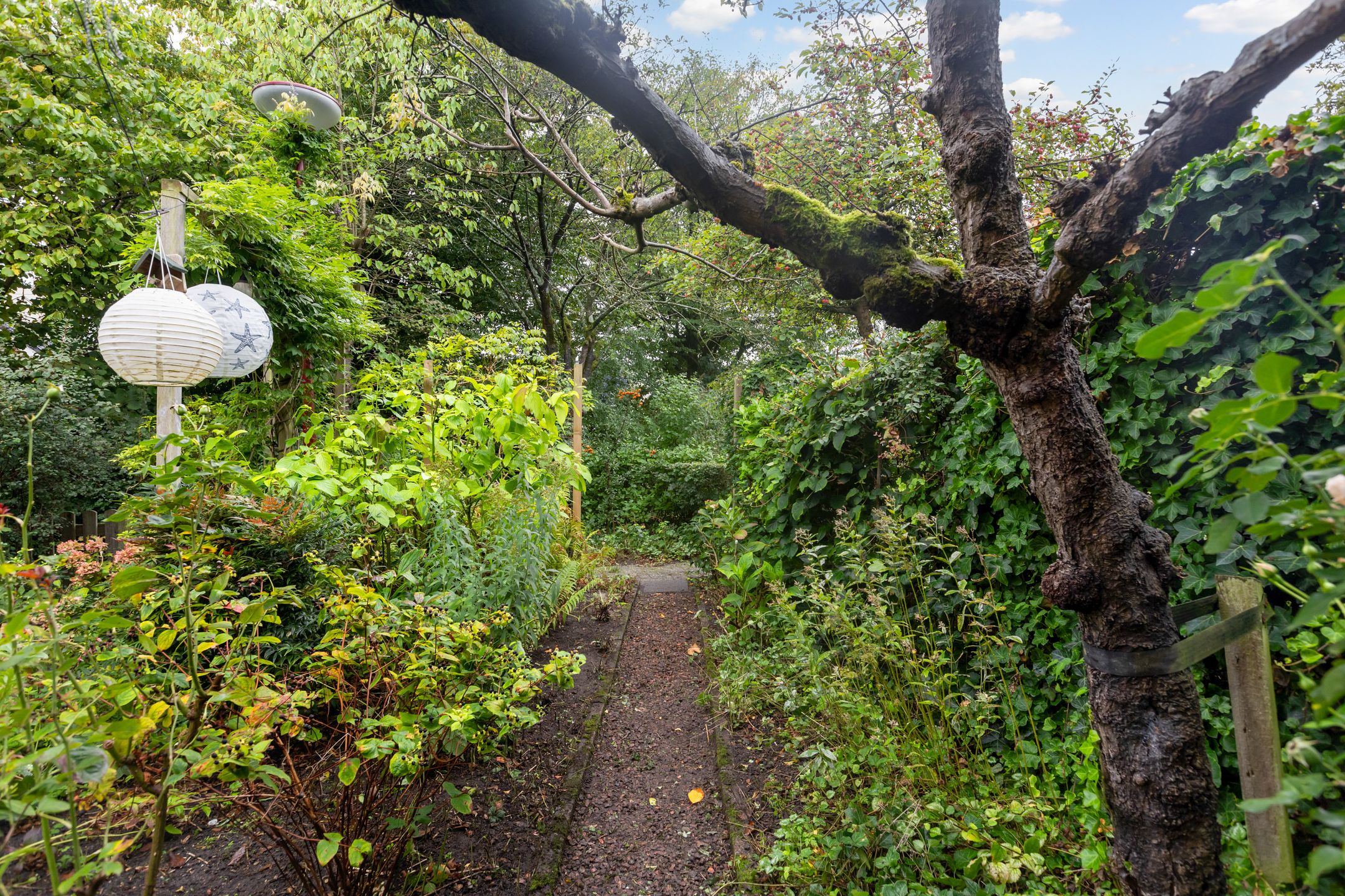 Foto 42 van Zwaluw 40