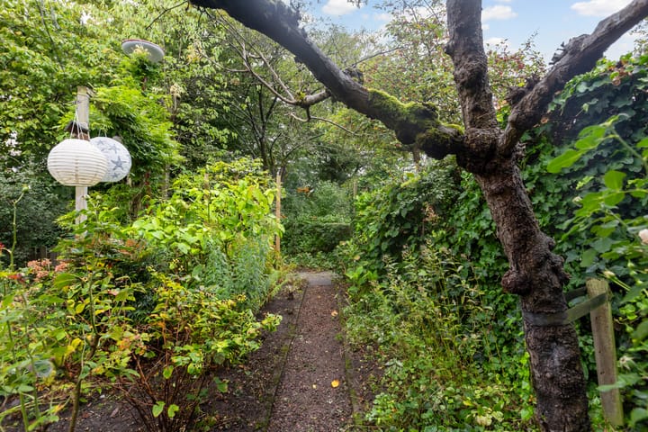 Foto 42 van Zwaluw 40