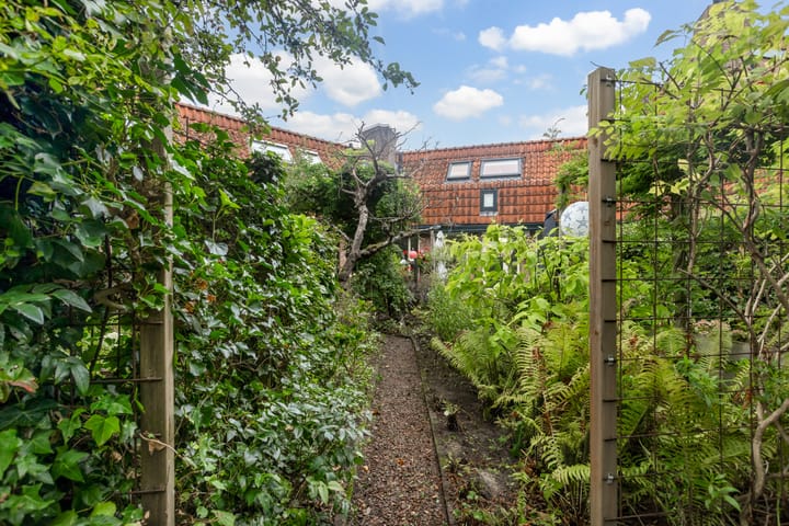 Foto 43 van Zwaluw 40