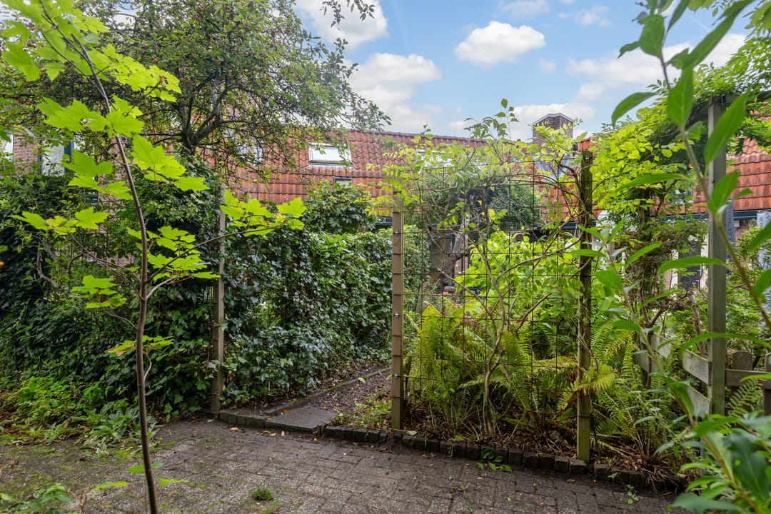 Foto 46 van Zwaluw 40