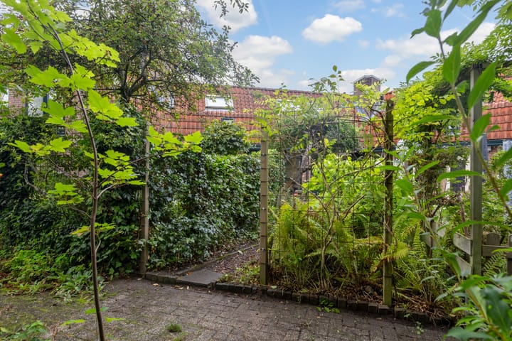 Foto 46 van Zwaluw 40