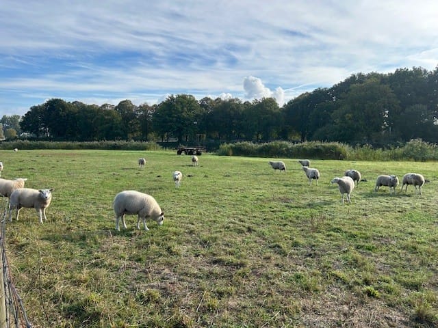 Foto 19 van Generaal Kraijenhoffstraat 11