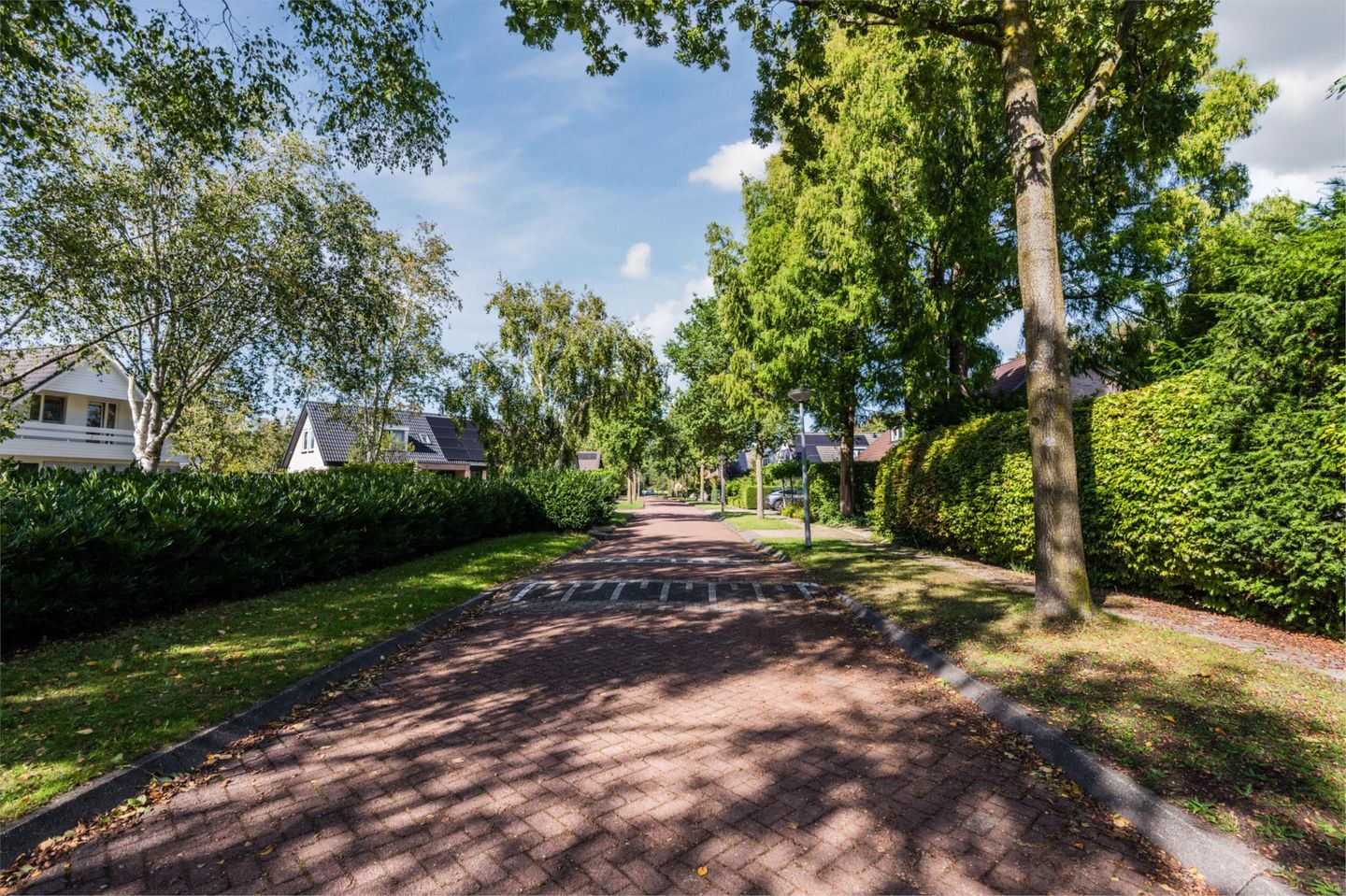 Foto 49 van Divertimentostraat 34