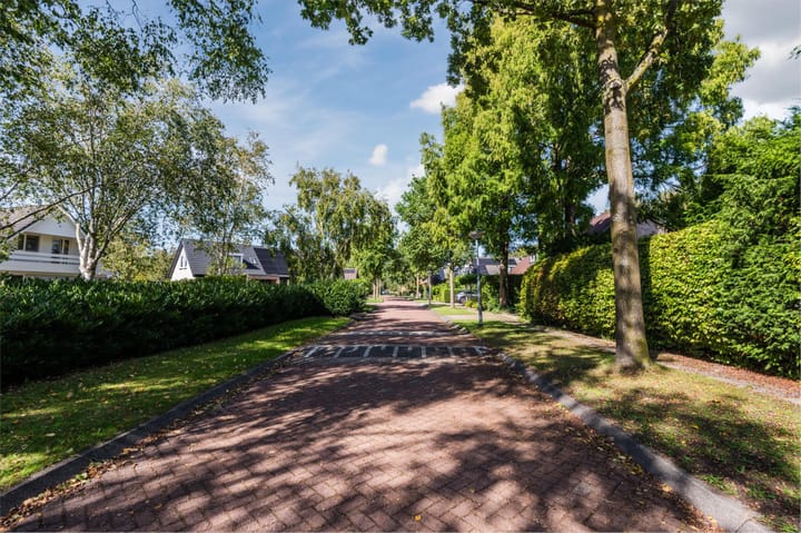 Foto 49 van Divertimentostraat 34