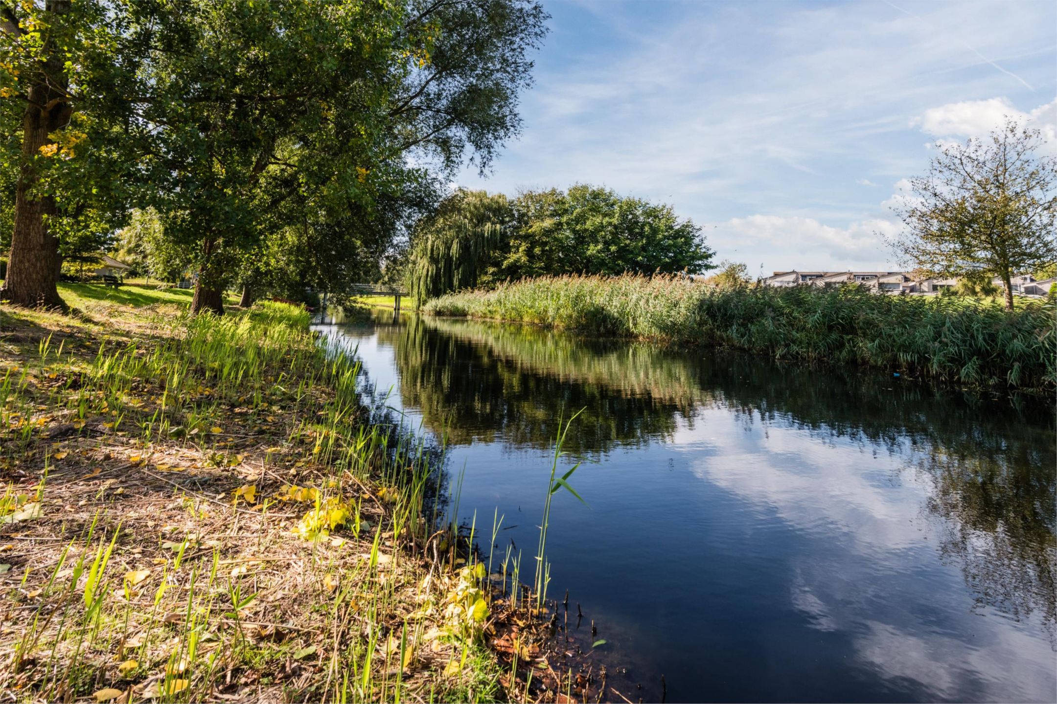 Foto 51 van Divertimentostraat 34