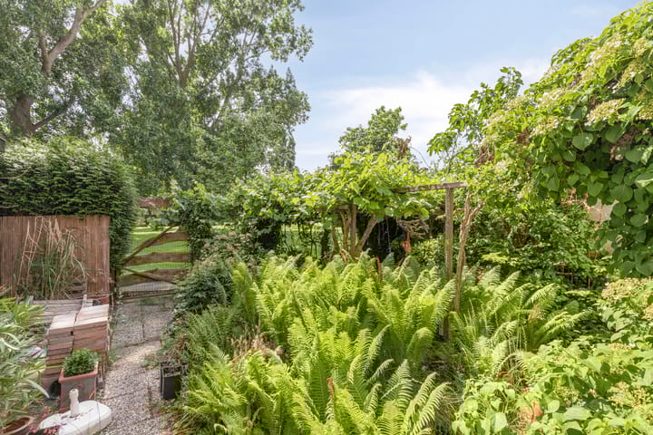 Photo 32 of Primulastraat 21