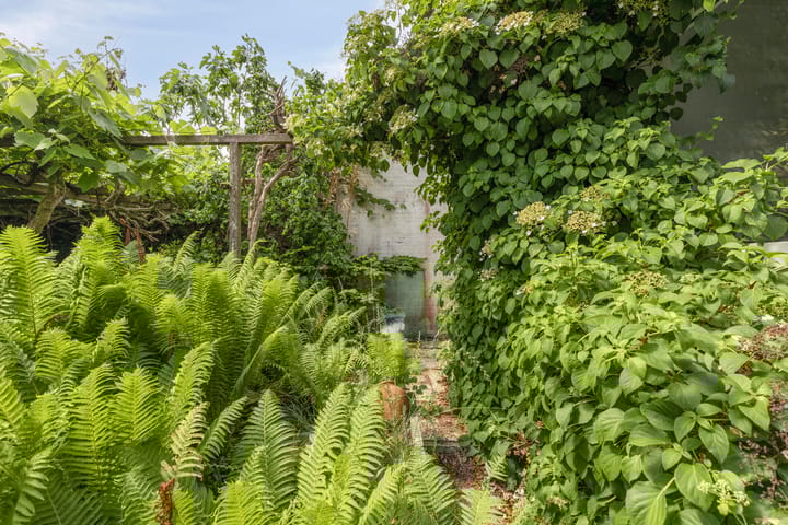 Photo 33 of Primulastraat 21