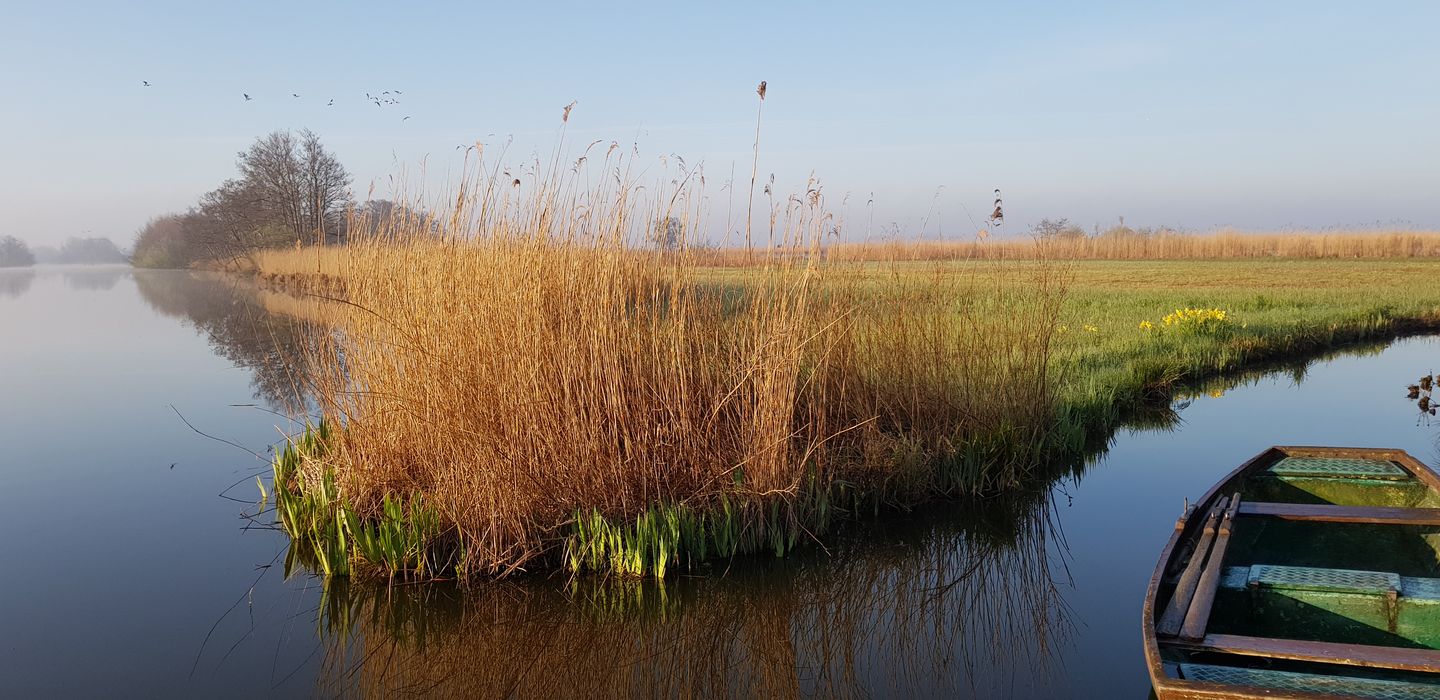 Foto 7 van Voorweg 64a Noorden