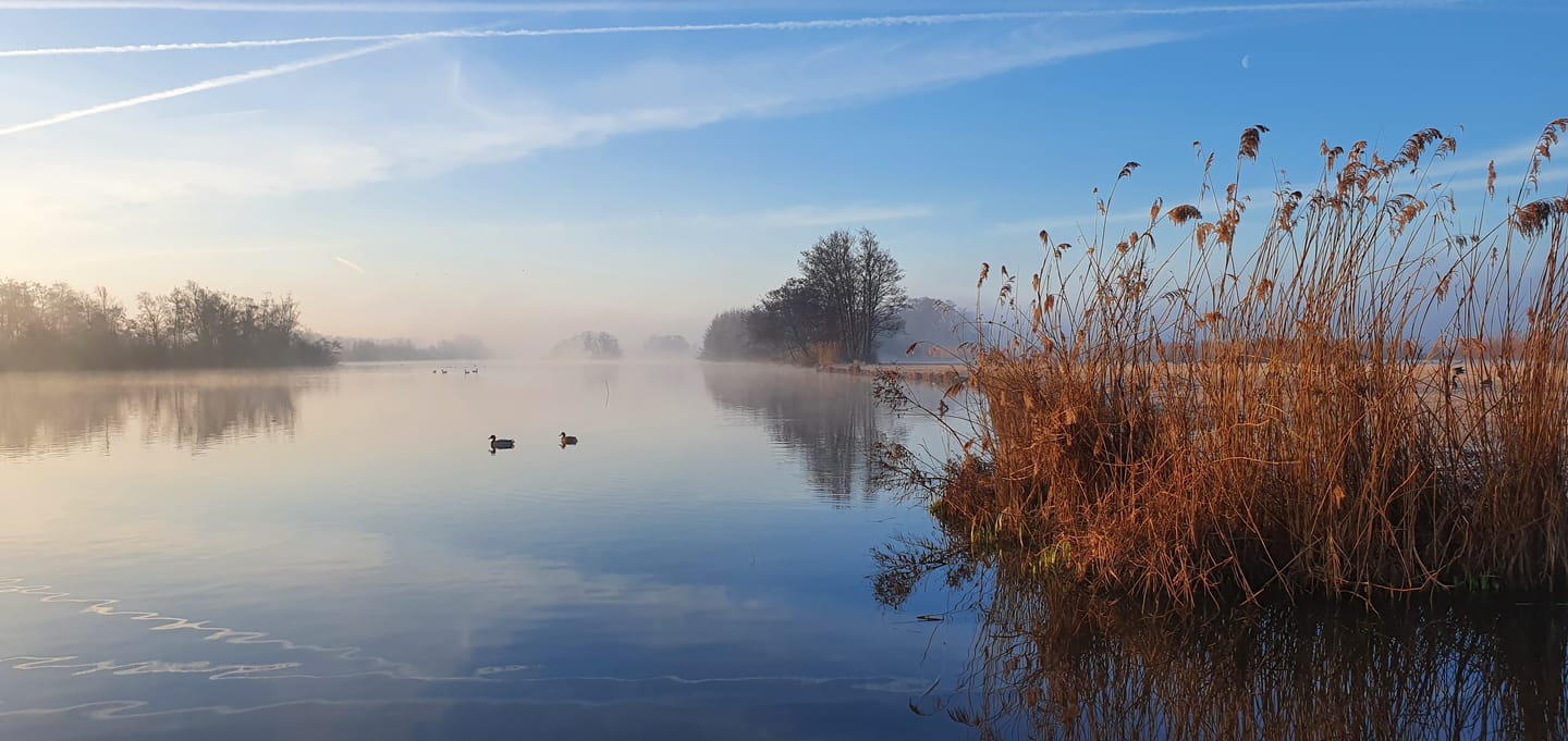 Foto 8 van Voorweg 64a Noorden