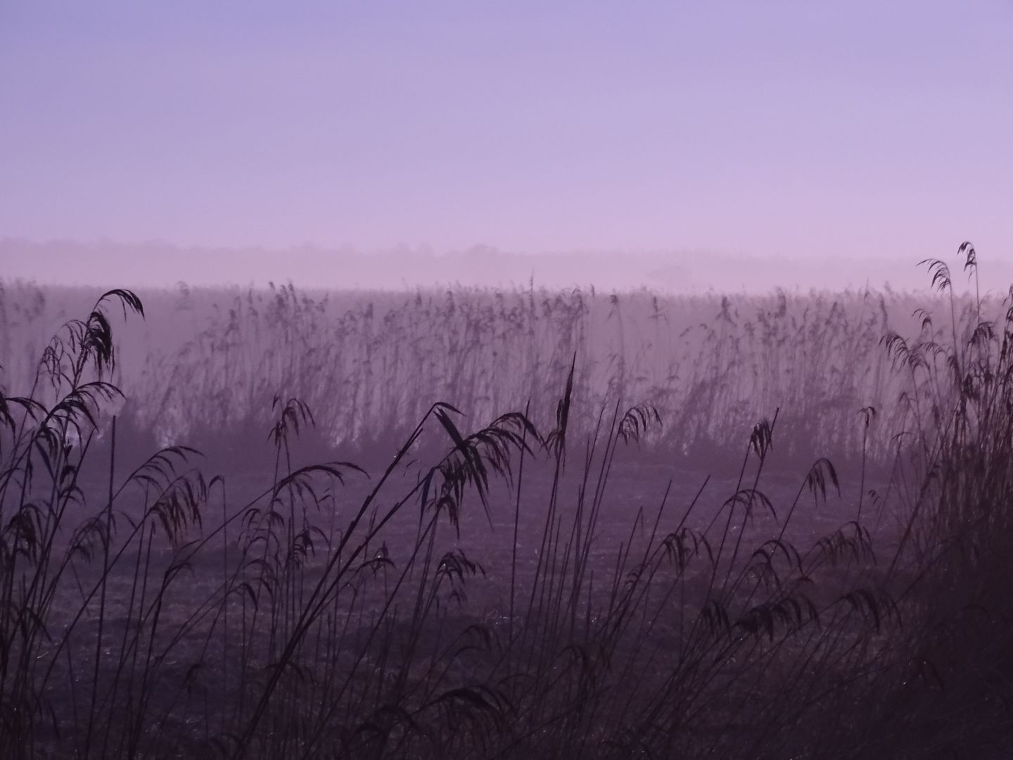 Foto 13 van Voorweg 64a Noorden