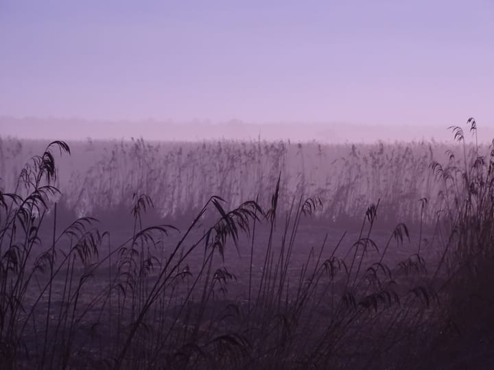 Foto 13 van Voorweg 64a Noorden