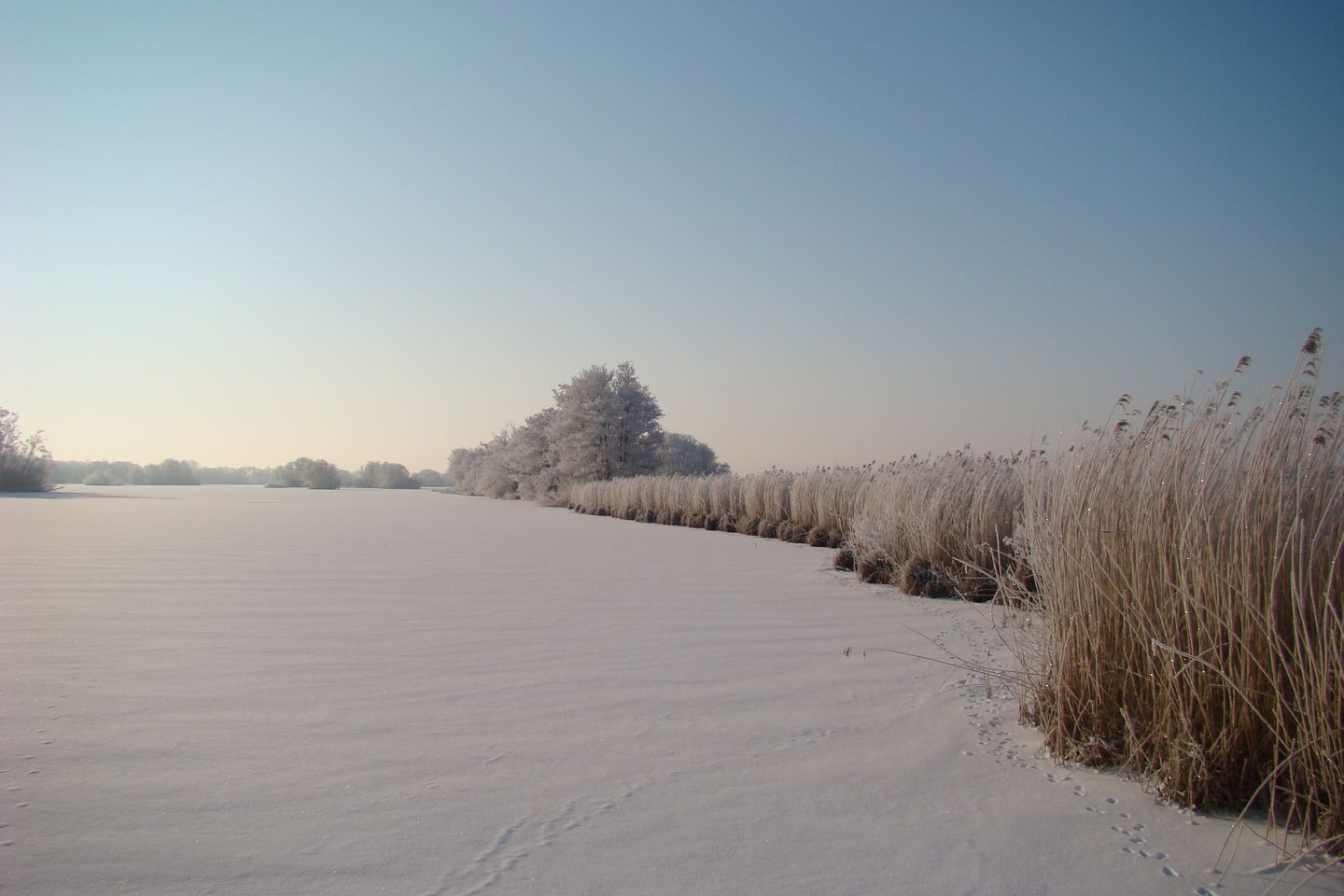 Foto 14 van Voorweg 64a Noorden